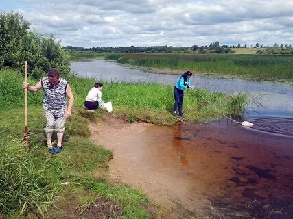 Погода в ручьях