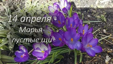 Сейчас 14 апреля