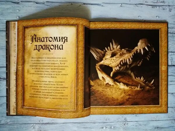 Мир драконов книга. Мир драконов книга
