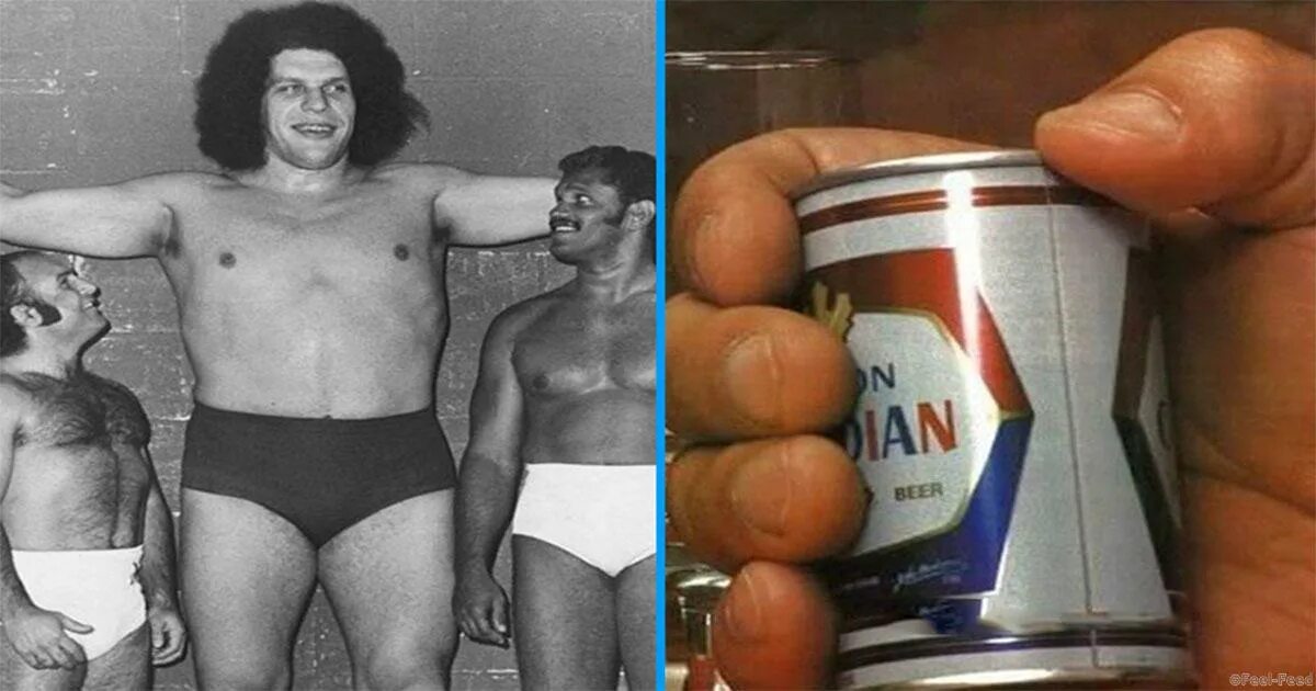 Звезды гиганты. Строение гигантов и сверхгигантов. Тыква гигант. Плотность сверхгигантов звезд. Гигант масс.