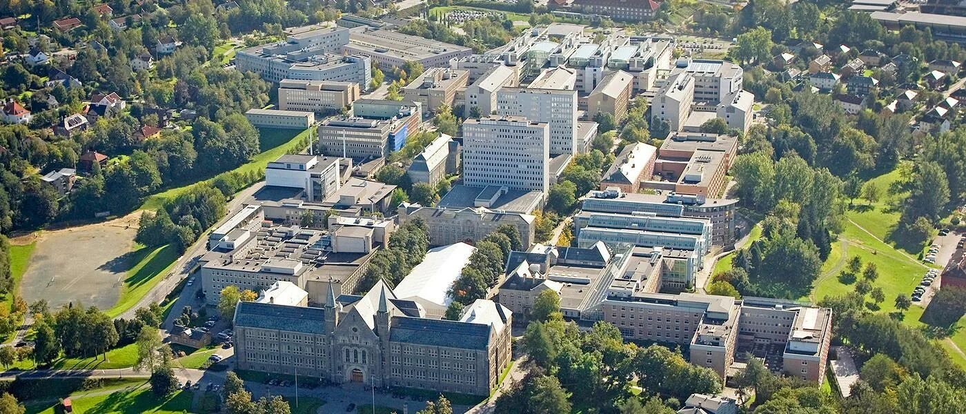 Настоящие кампусы. Настоящие кампусы. Queen mary university of london campus. Настоящие кампусы. Настоящие кампусы.