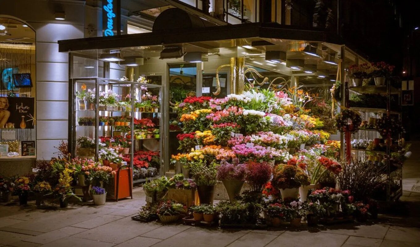 Магазин цветов Пятницкое шоссе. Витрина цветочного магазина. Красивый магазин цветов. Витрина для растений.
