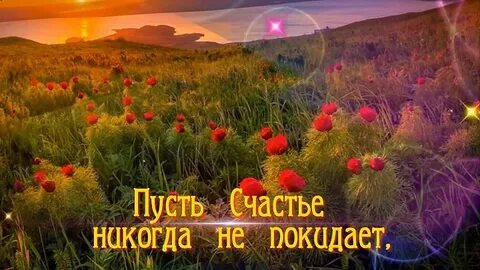 Любовь и счастье пусть не кончаются