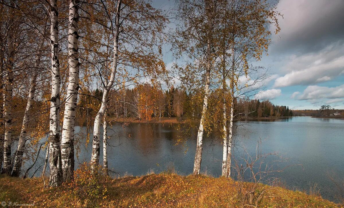 Св осень. Святое Тумботинское озеро. Тумботино Нижегородская область. Озеро Свято Тумботино осенью. Тумботино природа Свято.