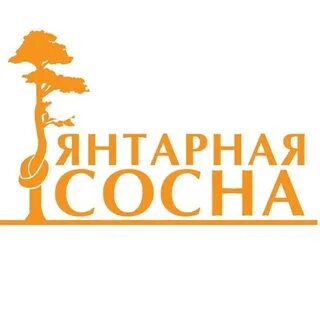 Янтарная сосна