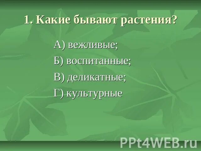 Юмор про братьев наших меньших. Братьев наших меньших никогда. Братьев наших меньших никогда. Трава на памятник. О братьях наших меньших презентация.