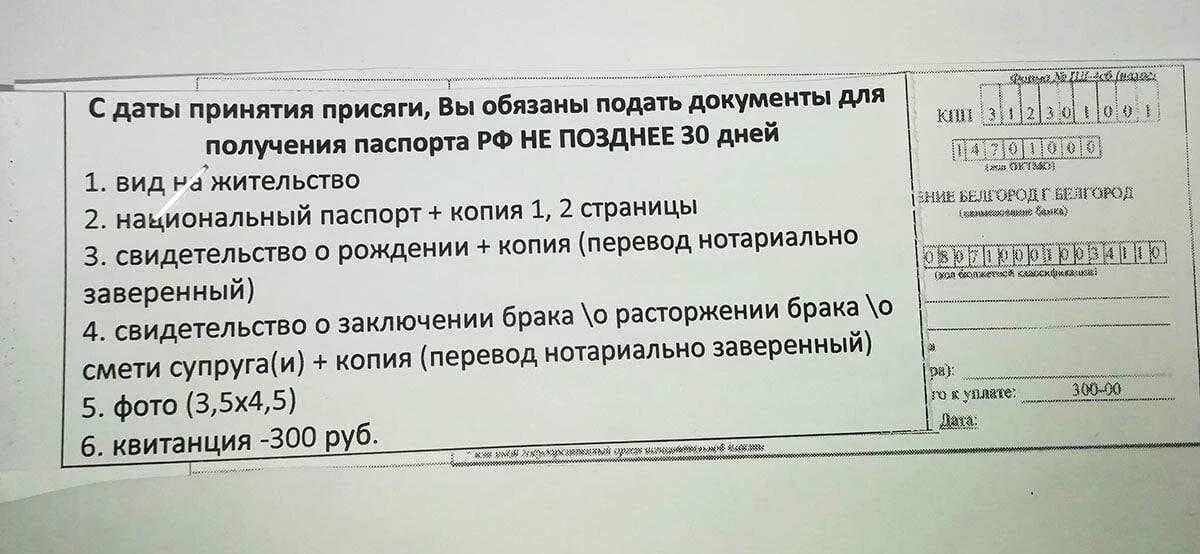 Подача документов российское гражданство