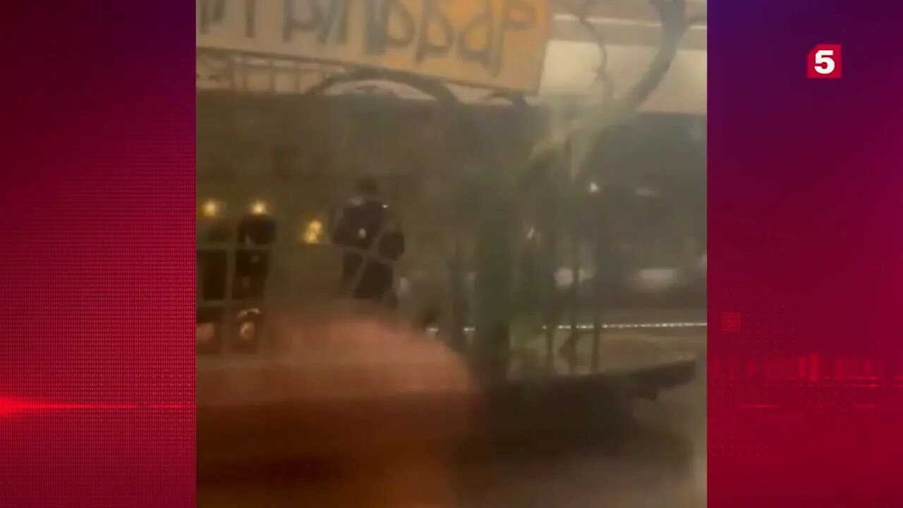 Включи 1 попавший