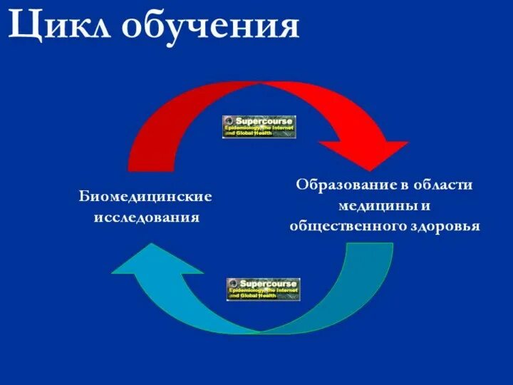 Циклы образования. Цикл обучения. Цикл обучения в компании. Цикличность обучения. Цикл тренинга