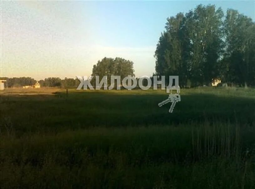 Поселок крупской. Поселок крупской новосибирская область. Погода крупской новосибирская. Пригород новосибирска поселок. Погода крупской новосибирская.