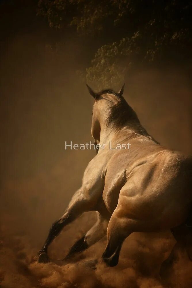 Wooden horse "wooden horse". Horse песня. Real stars horse racing кватерхорс. Horse last. Horse last.