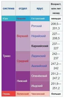 Система отдел ярус