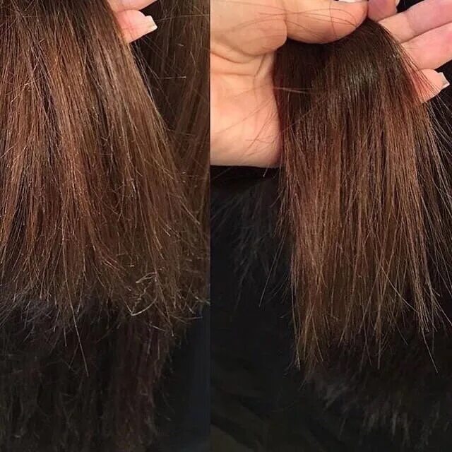 Секутся и ломаются волосы по всей длине. Секутся и ломаются волосы по всей длине. Посеченные волосы. Секутся и ломаются волосы по всей длине. Секутся и ломаются волосы по всей длине.