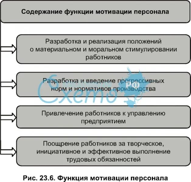 Функции мотивации