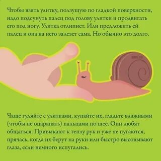 Задача амбициозная улитка