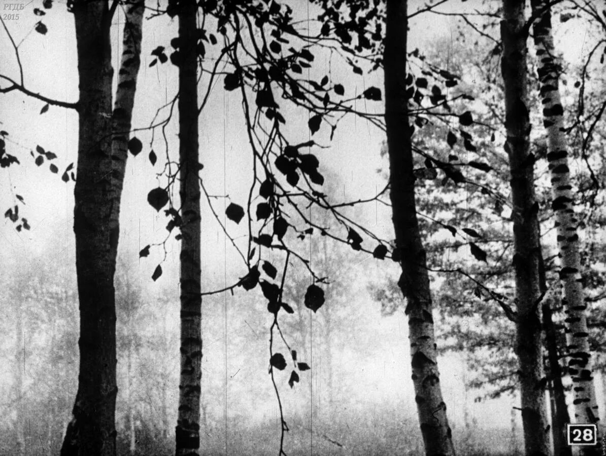 Мещерской стороне слушать. Мещерский край георгий паустовский. Мещерской стороне слушать. Мещерской стороне слушать. Г.