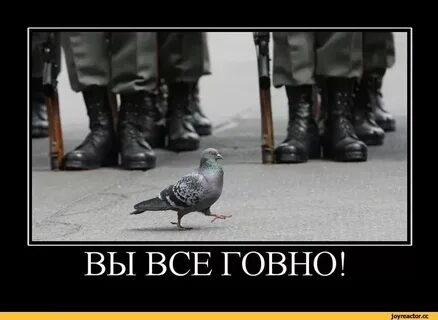 Стой серьезно