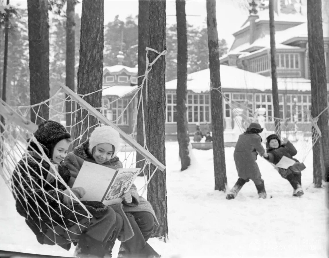Лесная школа 4. Лесная школа 4. Санаторно-лесная школа быково. Лагерь лесная школа ярославль. Парк усадьба кривякино.