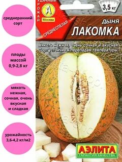 Дыня лакомка