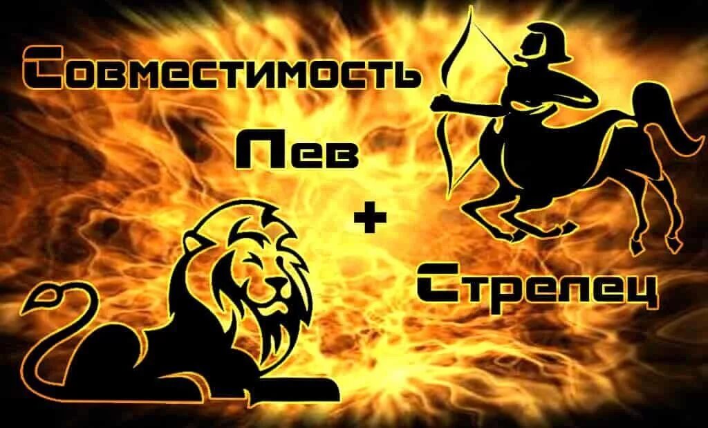 лев и стрелец фото. мужчина и женщина астрология. лев мужчина стрелец. здесь рулят львы. мужчина лев.