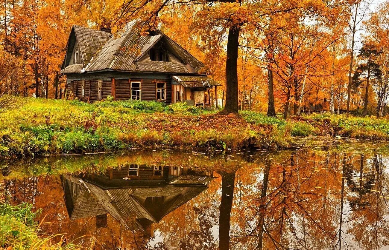 Осень в деревне. Осень дом. Осенний домик. Домик в осеннем лесу.