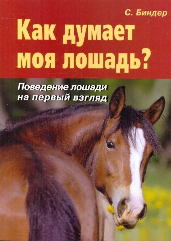 Моя первая лошадь. Моя первая лошадь. Моя первая лошадь. Книжка детская конь. Книги про лошадей.