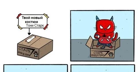 Включи 3 кота пауки