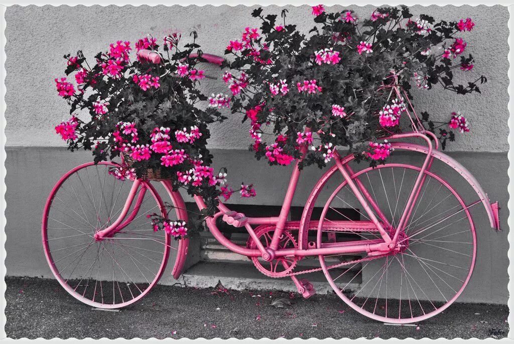 Велосипед в цветах зеленый. Цветочный велосипед. Велосипед для декорации. Декоративный велосипед для цветов. Велосипед с цветами декор.