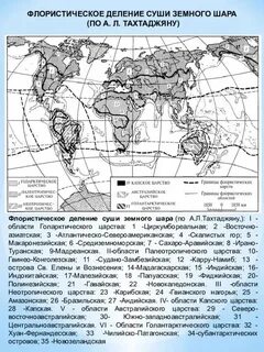Границы царства