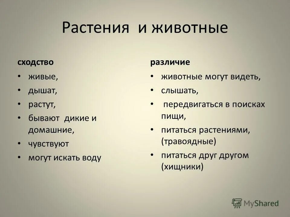 Чем отличаются домашние животные от диких. Домашние и Дикие животные различия и сходство. Сходства и различия домашних и диких животных. Различие домашних животных от диких. Дикие животные отличие от домашних.