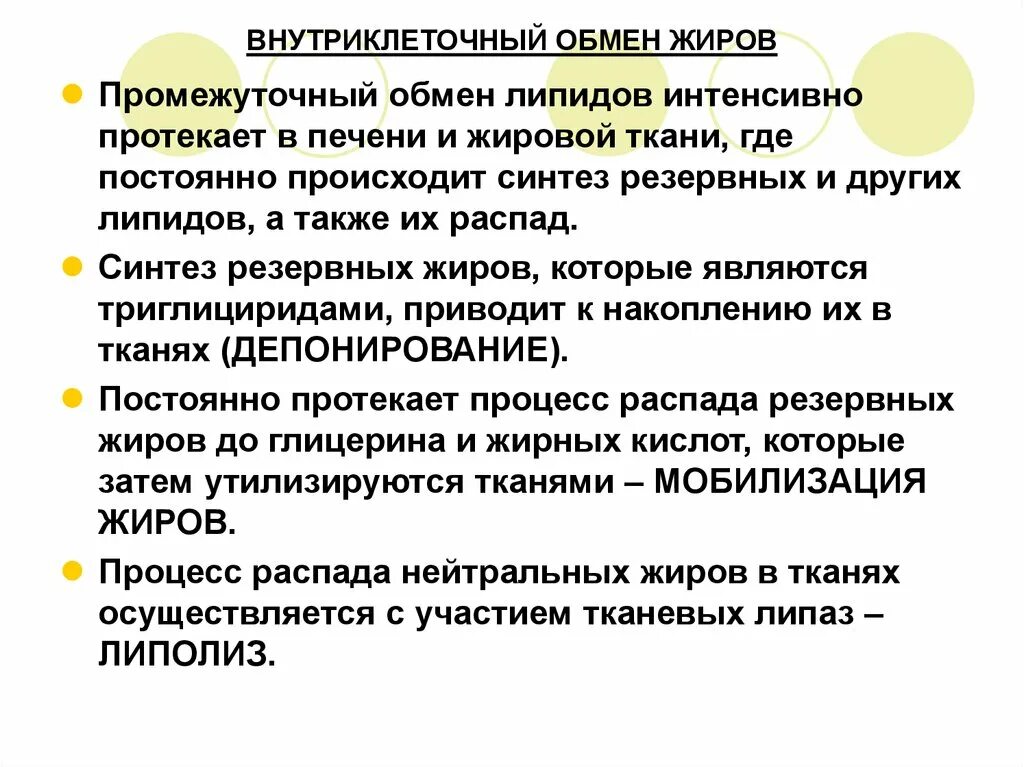 Печень расщепление жиров. Обмен жиров и липидов. Внутриклеточный обмен жиров. Промежуточный обмен липидов. Внутриклеточный обмен липидов.