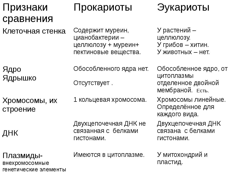 Сходства и различия эукариот. Признаки сравнения прокариот и эукариот. Признаки прокариотов и эукариотов. Характерные особенности прокариот и эукариот. Сравнение эукариот и прокариотической клеток.