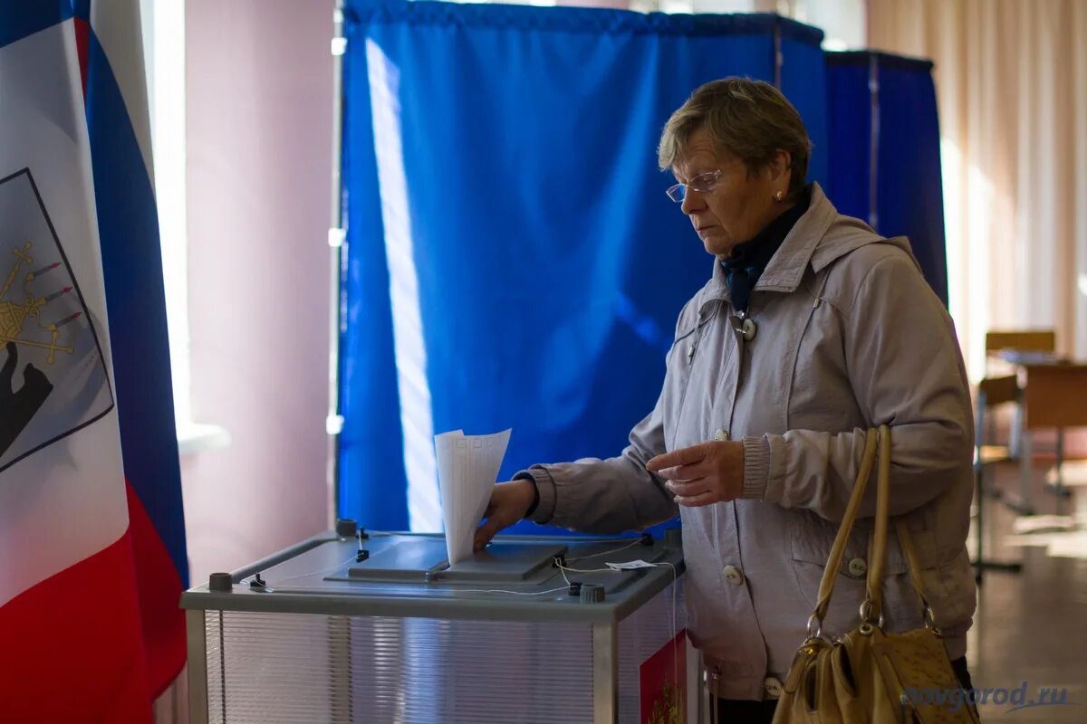 Выборы новгородский район