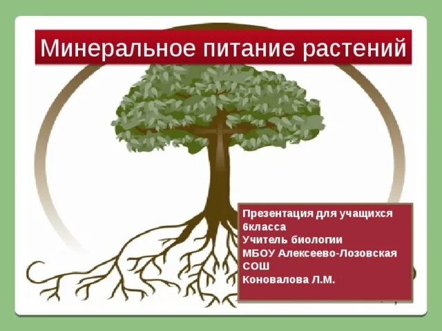 Почвенное питание растений. Воздушное питание растений таблица биология 6 класс. Минеральное почвенное питание растений. Минеральное питание растений таблица. Минеральное и корневое питание растений.