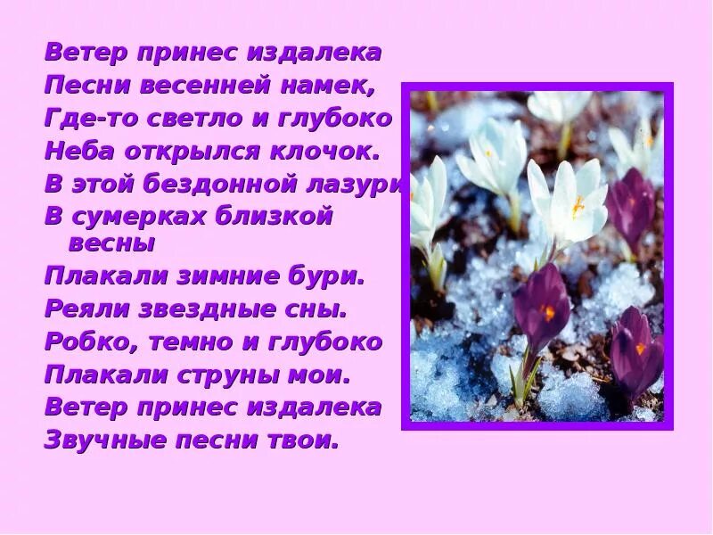 Ветер принес издалека. Стихотворение ветер принес издалека. Ветер принёс издалёка песни весенней намёк. Ветер пронес из далека. Ветер ответ принесет