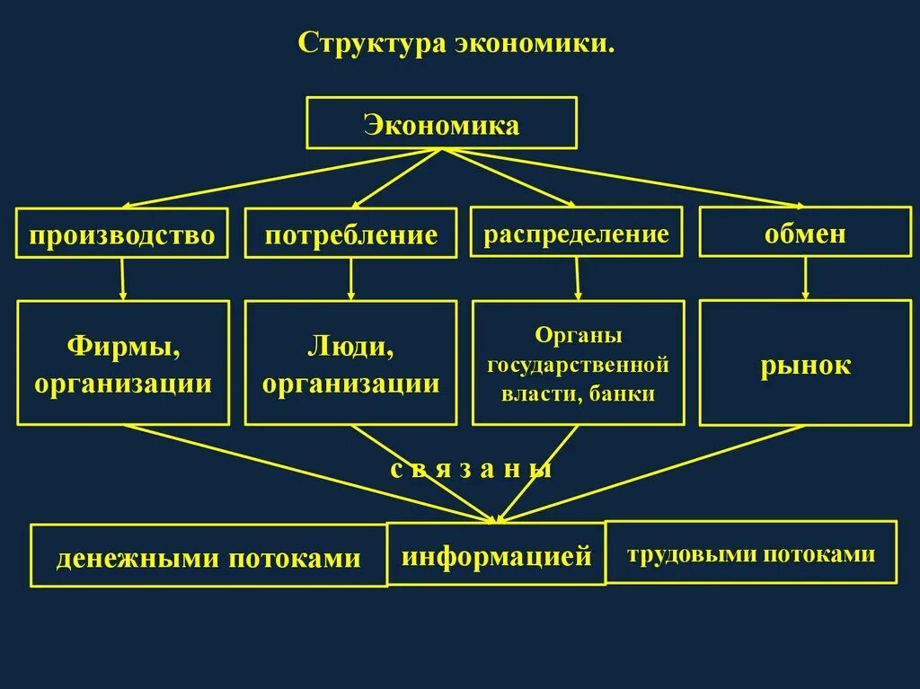 Управление экономики торговли. Структура экономики. Экономическая структура. Структура экономики организации. Структура экономической структуры.