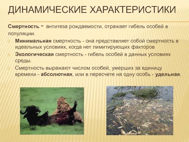 Смертность и летальность в чем разница. Минимальная смертность. Смертность это в биологии. Смертность и летальность. Рождаемость.