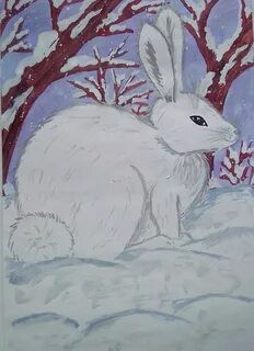 Как нарисовать зайца беляка