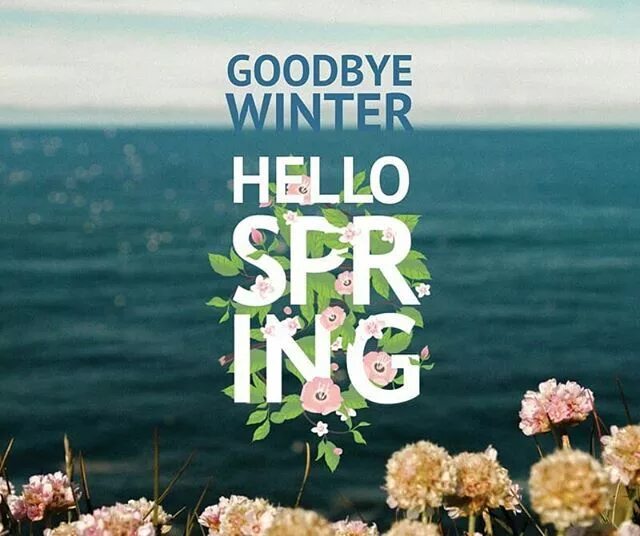First day of spring. Hello spring картинки. first spring day picture. happy first day of spring.