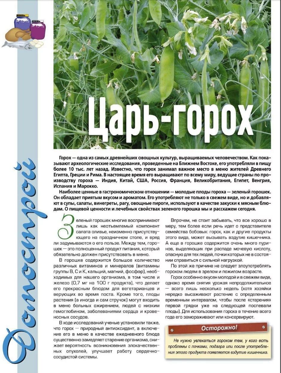 Горох польза. Полезные свойства гороха. Какие витамины содержатся в горохе. Горох полезен для организма. Чем полезен горох.