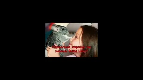 Ты и я вики шоу