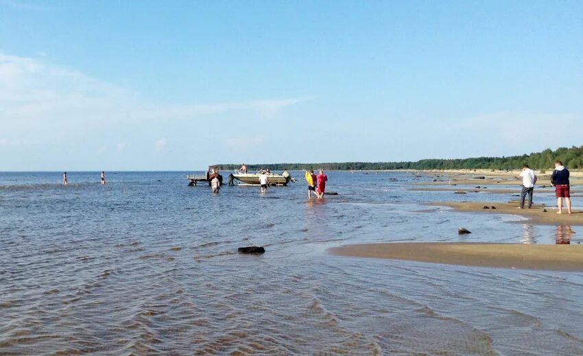 Рыбинские пляжи. Милюшино Рыбинское водохранилище пляж. Брейтово пляж Рыбинское водохранилище. Пляж в Милюшино Рыбинск. Пляж на Рыбинском водохранилище Милюшино.