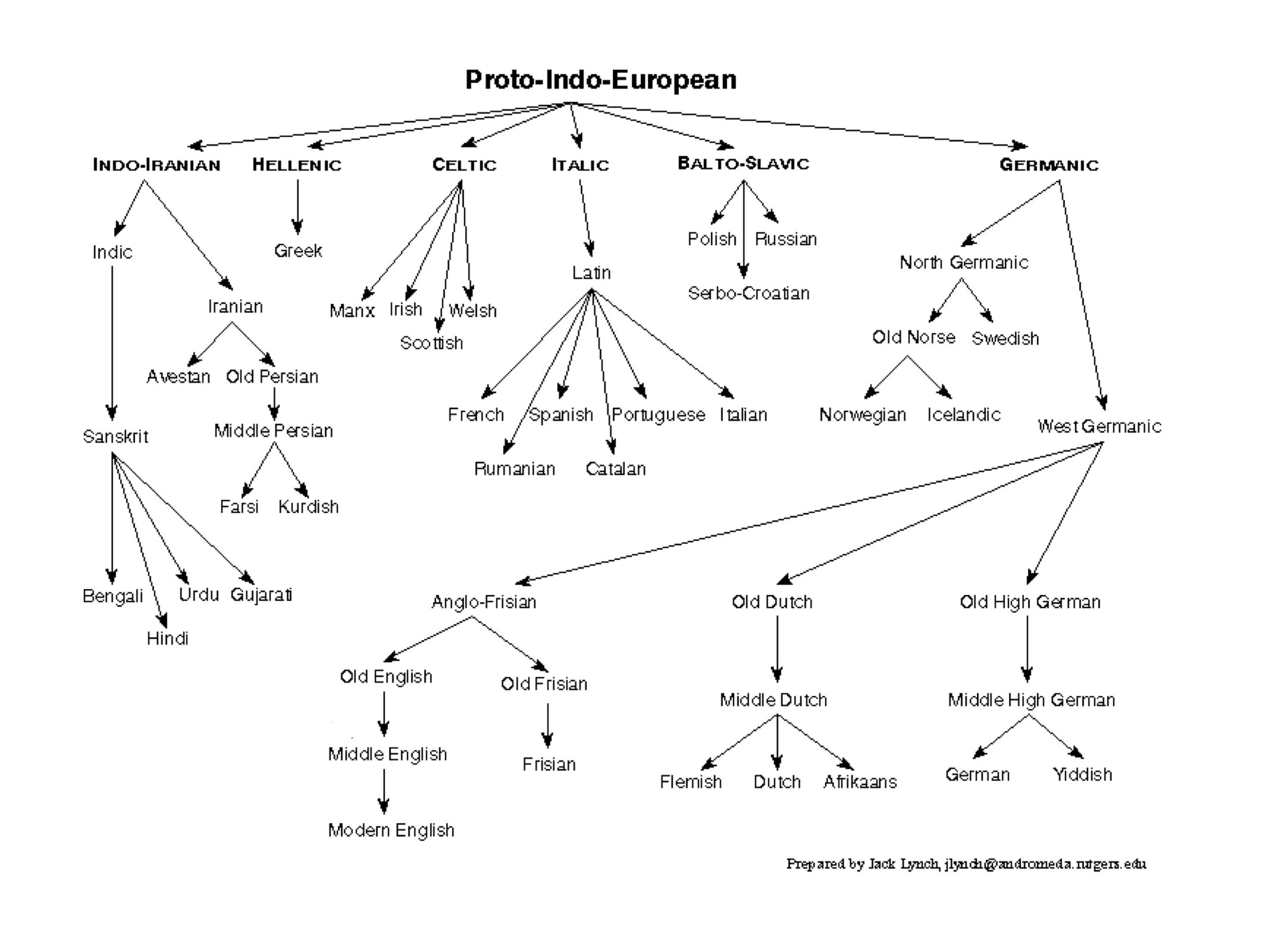 Когда вышел aa language. Proto indo european language. эволюция английского языка схема. german language tree. origins of language.