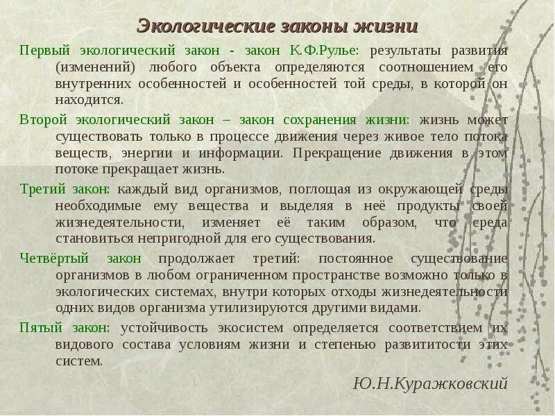 Примеры экологических законов. Законы экологии. Экологические законы и правила. Основные экологические законы. Экологические законы экология.