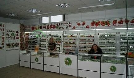 Партнер останкинская