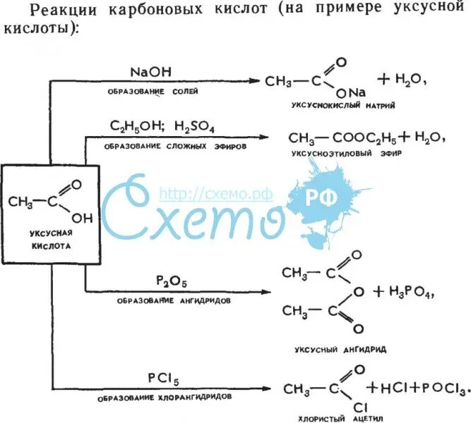 Схема образования карбоновой кислоты. Реакция димеризации карбоновых кислот. Основные реакции карбоновых кислот. Реакции с карбоновыми кислотами 10 класс. Реакция карбоновых кислот с солями