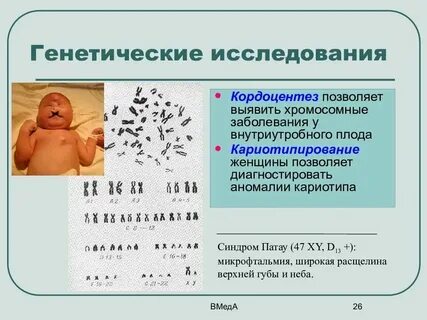 Изучение зародышей организмов