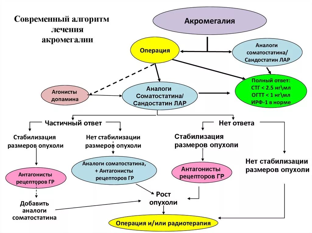 Современные криптографические алгоритмы. Шифрование переписки. Способы описания алгоритмов. Диагностика эмболии легочной артерии. Современные алгоритмы шифрования информации.