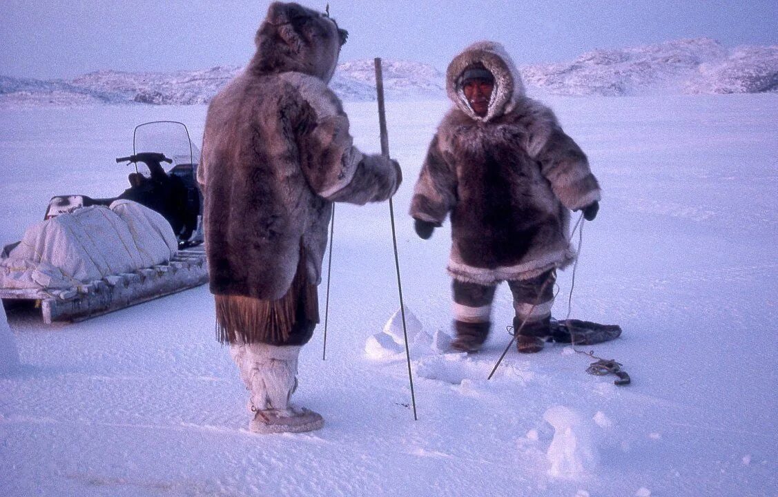 Эскимосы в Арктике. Куртка эскимоса 6. Инуиты Канады. Эскимосы Чукотки. Эскимосы в какой природной зоне