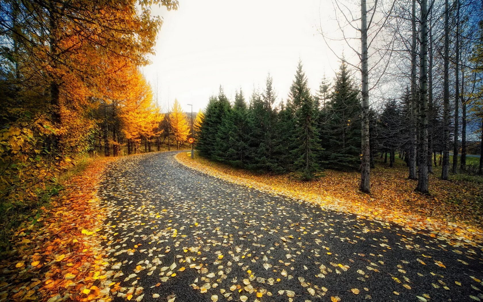 The trees fall across the road. Осенняя дорога. Поздняя осень. Поздняя осень в лесу. Осенние обои.